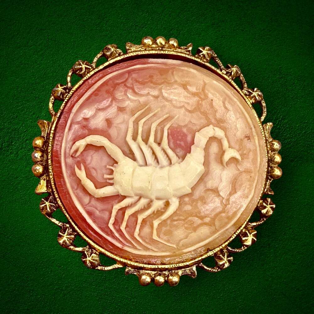 Vintage Carved Shell Cameo Scorpion Zodiac Scorpio Gold Tone Brooch Pin